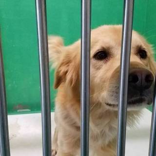 写真追加!もう時間が残されていません…助けて!!