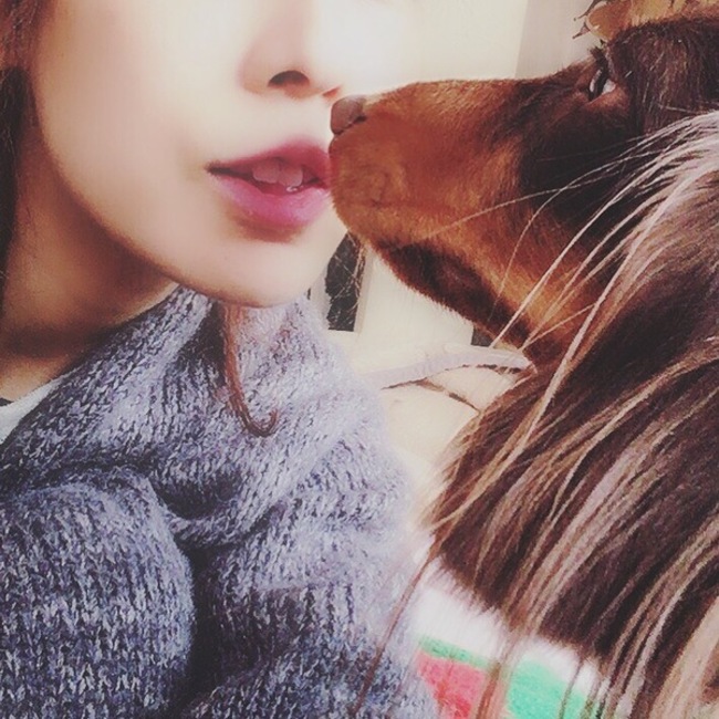 DOJINBARのカバー写真