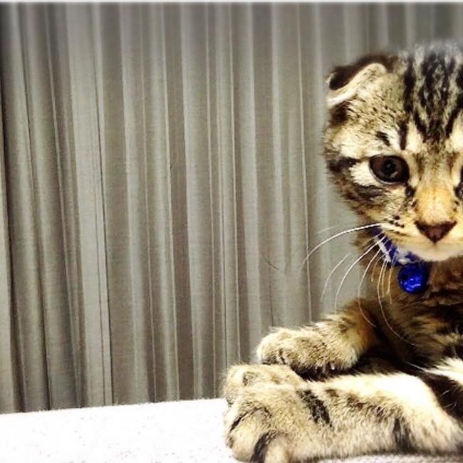 ki-noのカバー写真