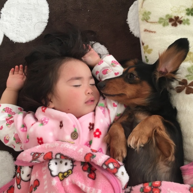 尾道のあやたろうのカバー写真