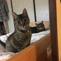 優しい飼い主さんに出会えました！
