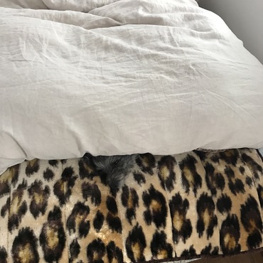 どこにいるか分かるかな？