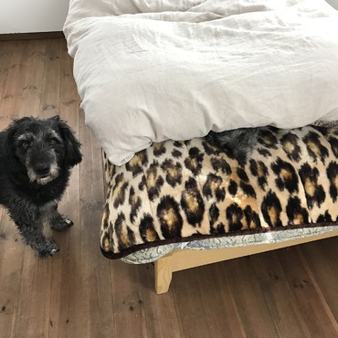 寝坊助はだれだ？