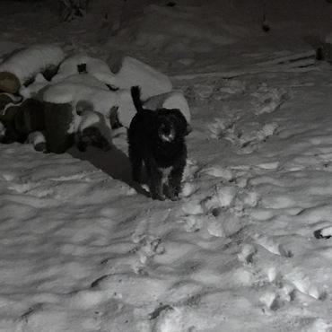 へっちゃらぷ～