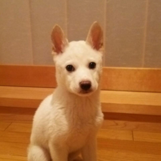 素敵な家族ができました！