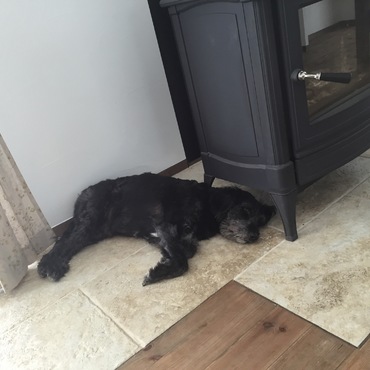 冷たい床がすき