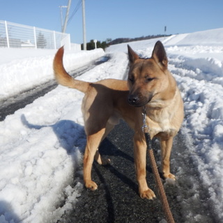 今度こそご縁をつかむぞ！