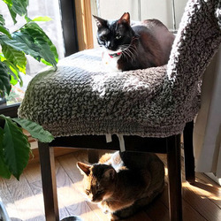 「ちーちゃんの逆襲？」サムネイル1