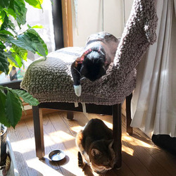 「ちーちゃんの逆襲？」サムネイル2