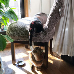 「ちーちゃんの逆襲？」サムネイル3