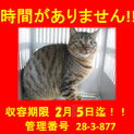里親決定！！家族ができました(*´▽｀*)