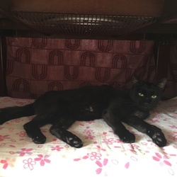 私への愛はホットカーペット以下