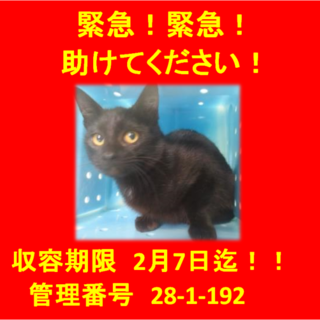 里親決定！！家族ができました(*´▽｀*)