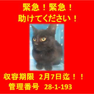 里親決定！！家族ができました(*´▽｀*)