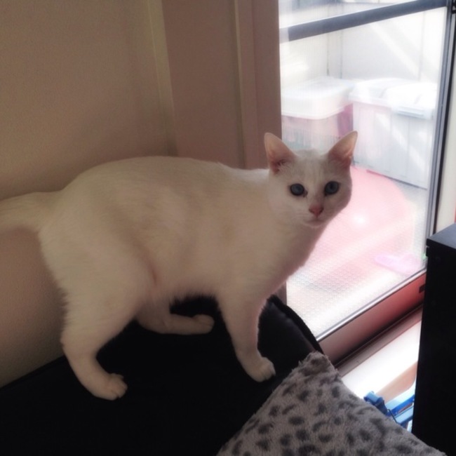 Micchi8のカバー写真