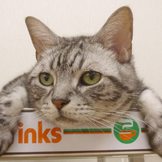 決まりました【ジャッキー】おっとりさんです