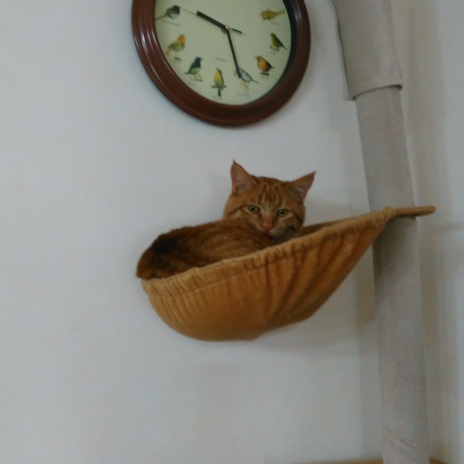 傘木省三のカバー写真