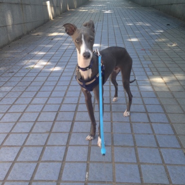 １歳の誕生日❗️