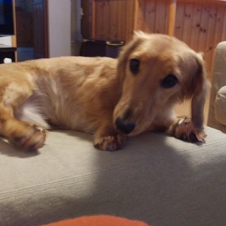 2歳ゆうたくん　とっても甘えん坊です