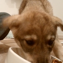 はじめまして。