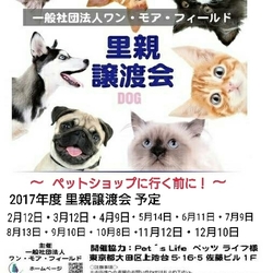 ☆★☆里親様譲渡会☆★☆　幸せ探してペットショップへ行く前に！ サムネイル2