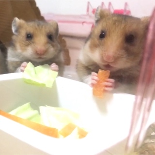 1/4産まれ☆選考中です(^ ^)