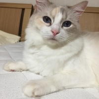 にこ