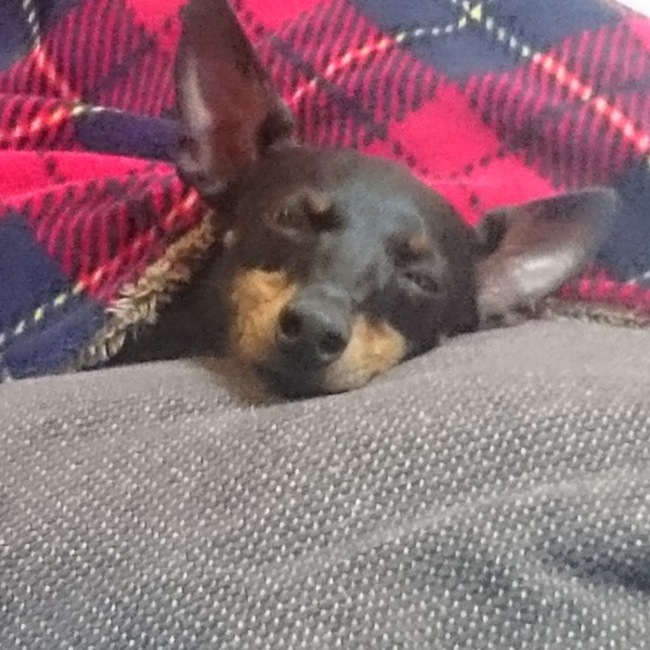 るーママのカバー写真