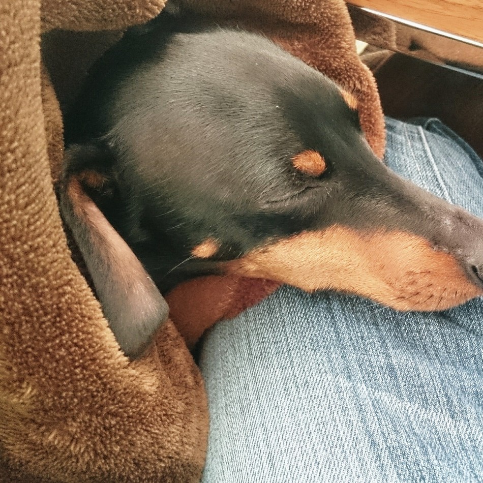 るぅのカバー写真