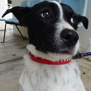 ドキドキして固まっちゃうことがありますが、可愛い子