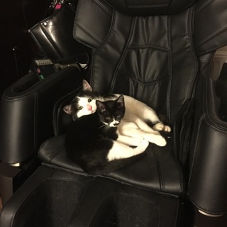 飼育放棄された2匹