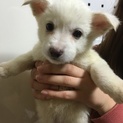 ありがとうございます。ましゅ君２ヶ月