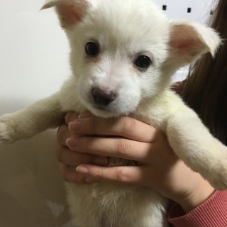 ありがとうございます。ましゅ君２ヶ月