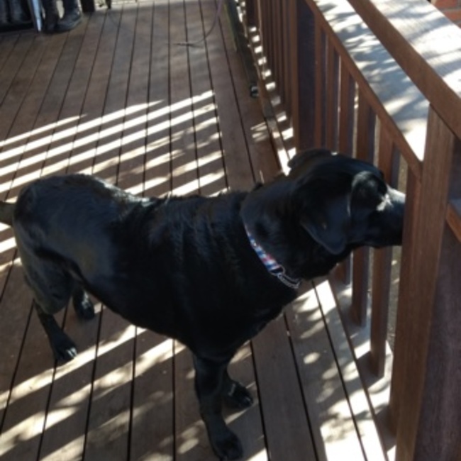 ナルトワのカバー写真