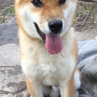 そら