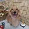 のつこん