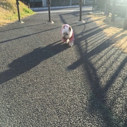 頑張れめい子さん