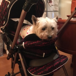 「頑張れめい子さん」サムネイル3