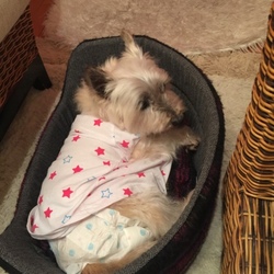 「頑張れめい子さん」サムネイル2