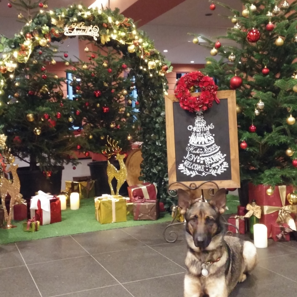 こはるのカバー写真