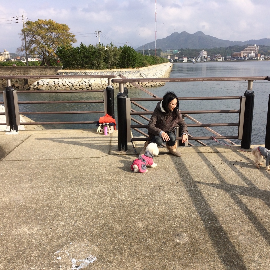 カンナのカバー写真