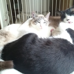 「僕らはみんな生きている～♪」サムネイル3