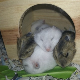 無事に取引完了、ありがとうございました