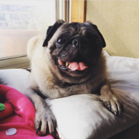 Sōsu（ソース）