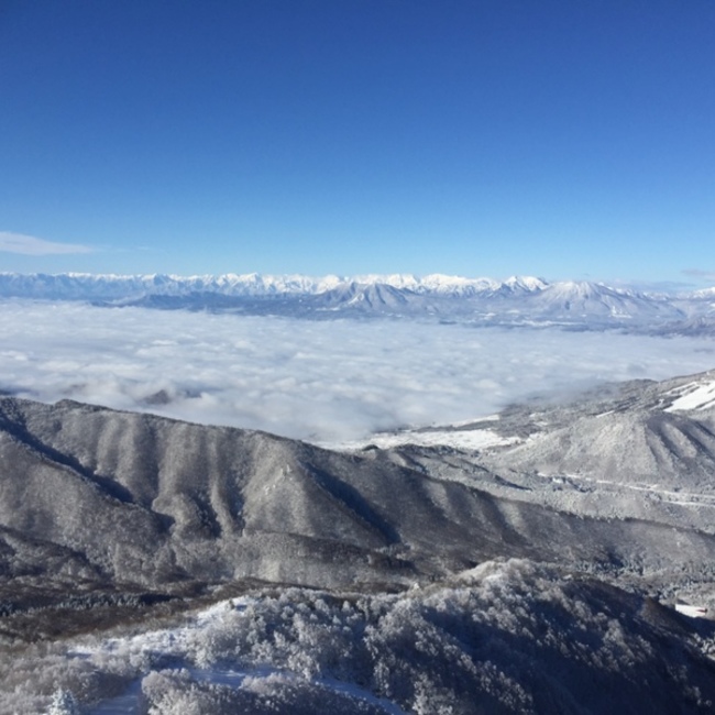 Hana&Taroのカバー写真