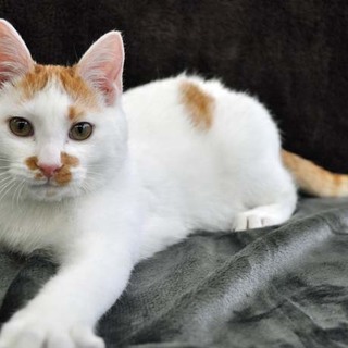 ふっくら白ポチャ☆彡冬馬くん