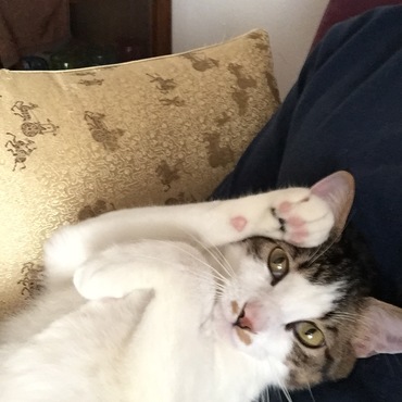 ゴロスリタイム