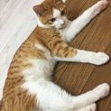 おっとり優しい男の子