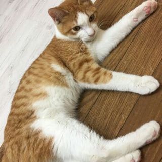 おっとり優しい男の子