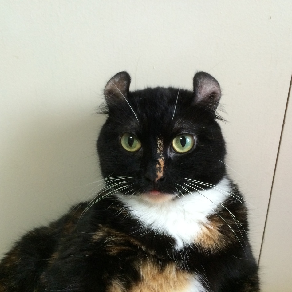 美羽のカバー写真